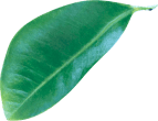 img-slider3 img-slider3