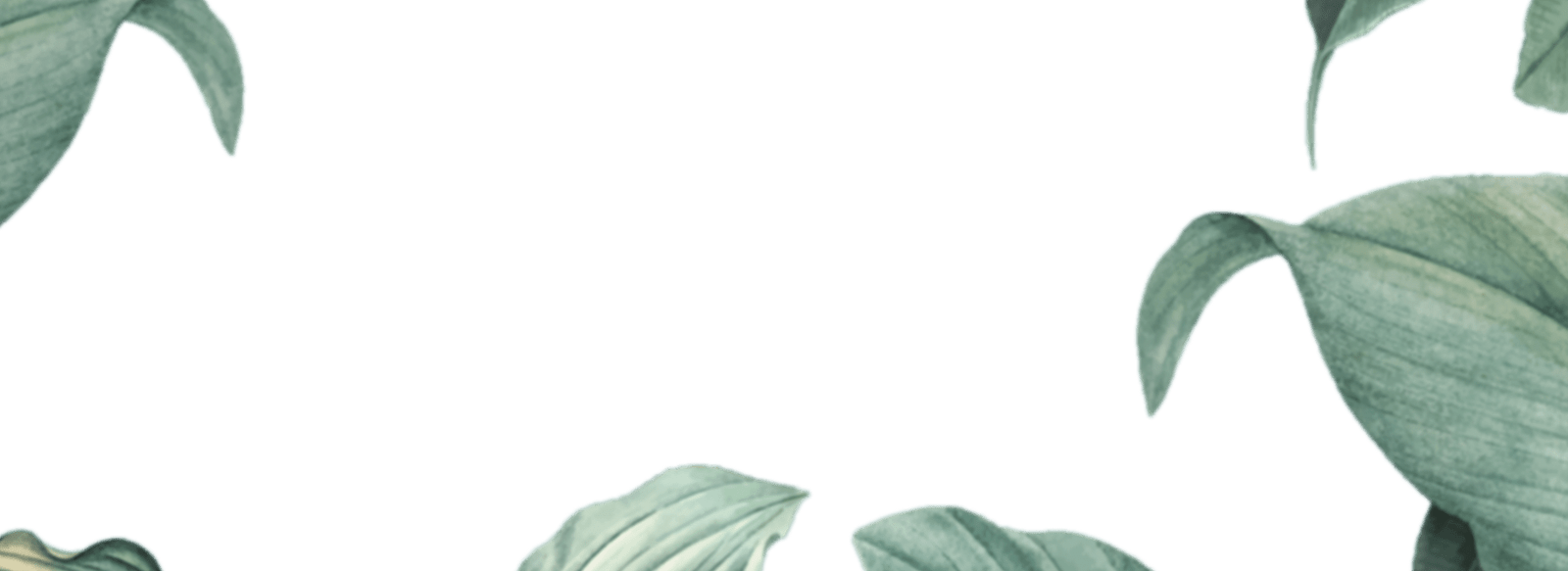 img-slider21.png