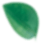img-slider3-011.png